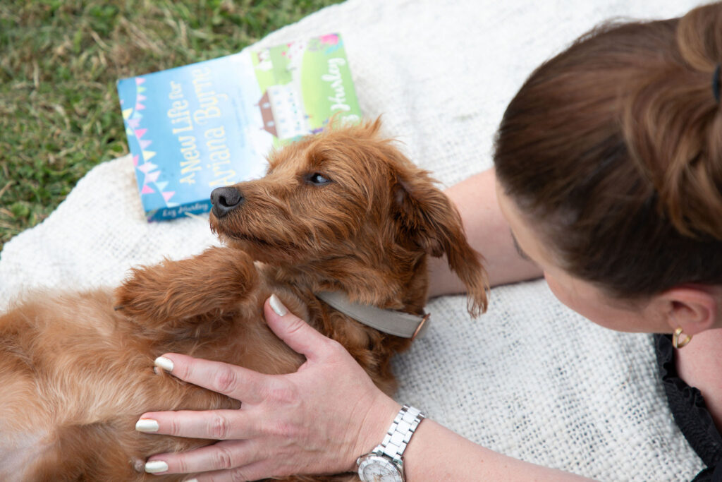 Dog Friendly Holidays - Essex countryside